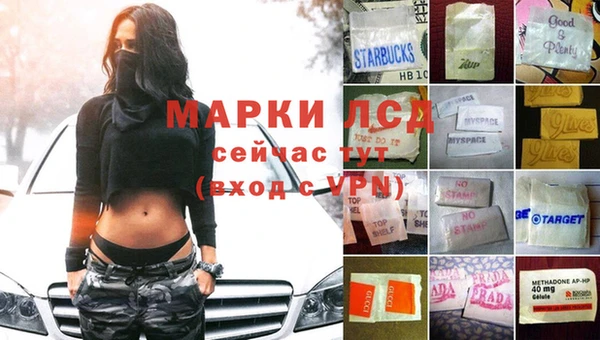 ECSTASY Баксан