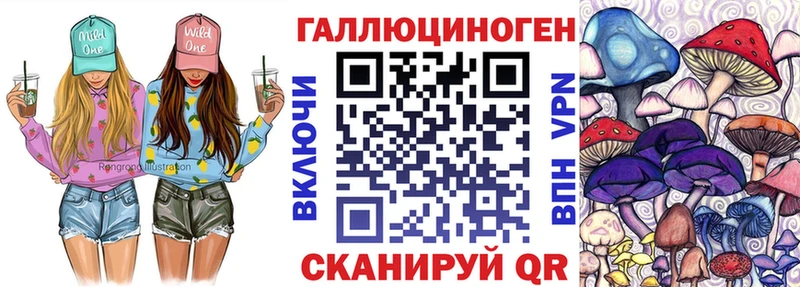 наркошоп  Заречный  Галлюциногенные грибы Cubensis 